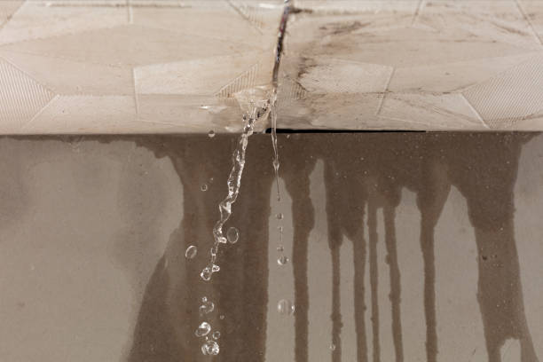 Professional Structural Drying technician working in Ubly, MI